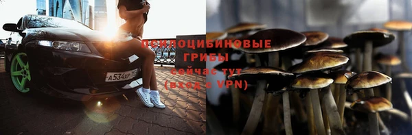 ECSTASY Гусиноозёрск