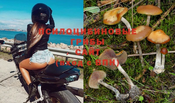 ECSTASY Гусиноозёрск