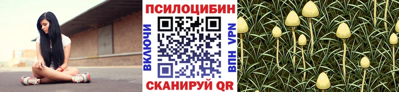 Псилоцибиновые грибы Magic Shrooms  Купить  Черноголовка 