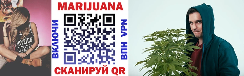 Конопля SATIVA & INDICA  Купить где  Черноголовка 